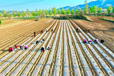 不負(fù)農(nóng)時鬧春忙