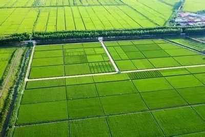 從國家農(nóng)業(yè)綜合開發(fā)辦2018年工作要點看農(nóng)業(yè)的幾大商機