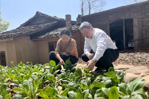 福建省農(nóng)科院攜手鄉(xiāng)愁沈丹共建綠色優(yōu)質(zhì)農(nóng)產(chǎn)品聯(lián)合開(kāi)發(fā)中心 科技賦能助力綠色產(chǎn)業(yè)發(fā)展