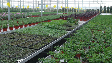 浙江東浦農(nóng)業(yè)開(kāi)發(fā)