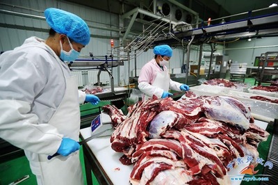 祁連牧歌悠揚(yáng) 張掖一企獲評(píng)&ldquo;國(guó)家級(jí)綠色工廠&rdquo;