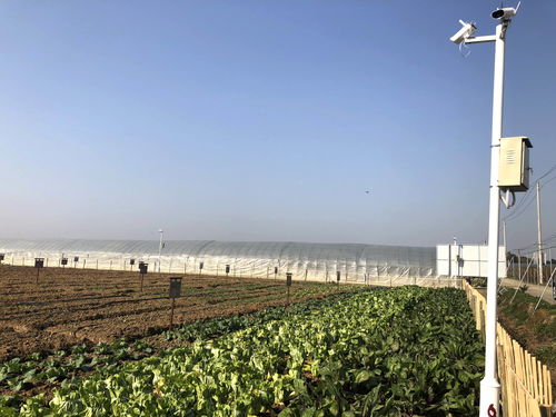 17幫農(nóng) 2018年觀光農(nóng)業(yè)新發(fā)展模式展望,共享是趨勢(shì)