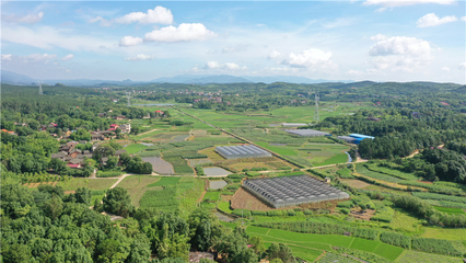 【永州市】這里種菜有"講究"--永州市冷水灘區(qū)永益農(nóng)業(yè)開(kāi)發(fā)蔬菜基地見(jiàn)聞