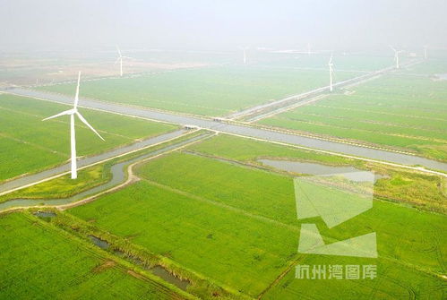 攢足 綠 動(dòng)力促農(nóng)業(yè)可持續(xù)發(fā)展