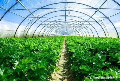 招商啦!上猶縣水巖鄉(xiāng)生態(tài)農(nóng)業(yè)產(chǎn)業(yè)基地建設招商推介書!