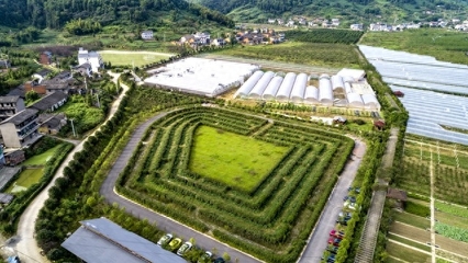 認養(yǎng)農(nóng)業(yè)app模式定制開發(fā) 認養(yǎng)農(nóng)業(yè)發(fā)展方案