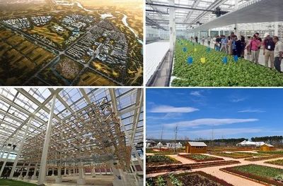 【游學課程】以農(nóng)業(yè)為基礎,如何搭建現(xiàn)代農(nóng)業(yè),休閑度假,田園社區(qū)的農(nóng)業(yè)綜合體開發(fā)模式?