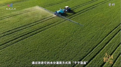 基因 再生 栽培 探秘農業(yè)科技的 配合密碼