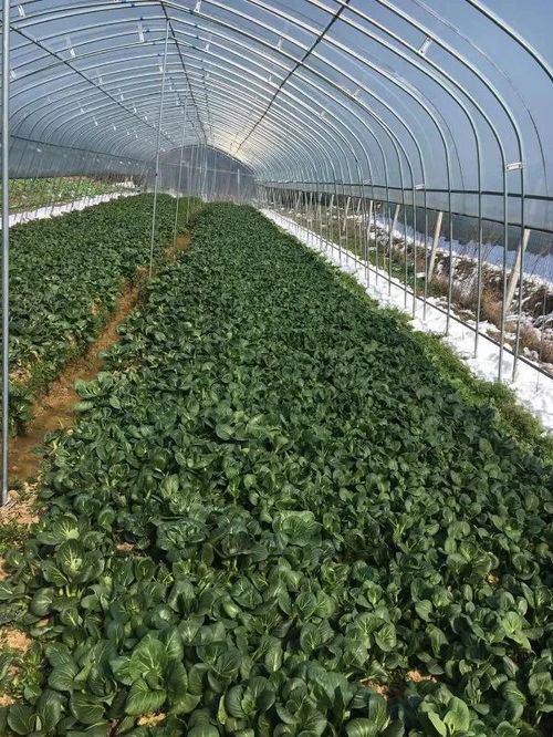 青春助農 共同戰(zhàn)疫 ,期待你的加入