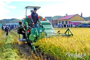 探索現(xiàn)代農業(yè)發(fā)展新路徑