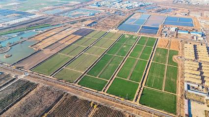 墾利經(jīng)濟(jì)開發(fā)區(qū)、興隆街道:聚焦民生福祉 繪就幸福生活新圖景