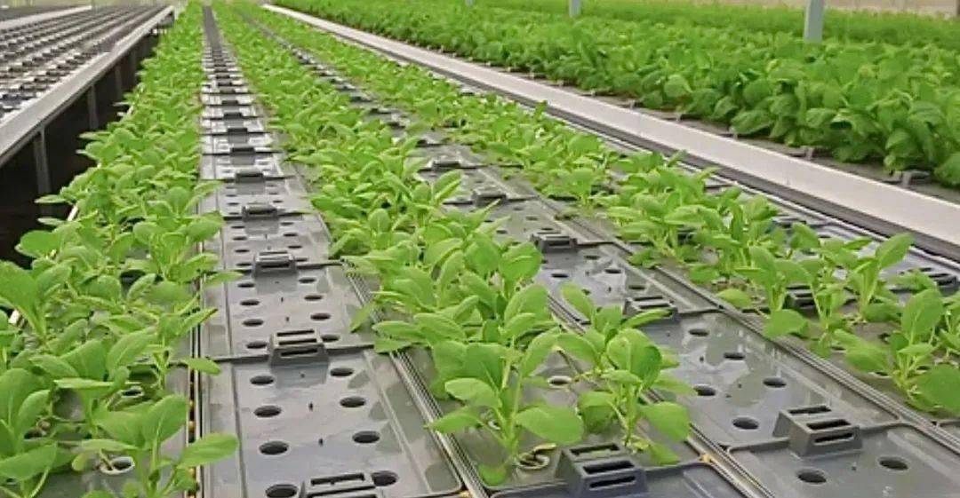 沭陽成功創(chuàng)建節(jié)水型社會建設(shè)達(dá)標(biāo)縣