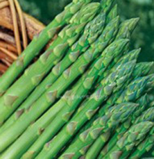 臨安錦昌農業開發有限責任公司-