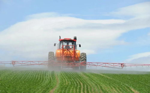 統籌推進農村疫情防控與農業開發 保障農產品供給安全