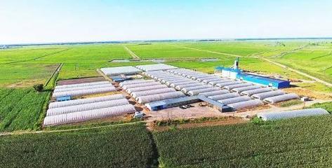 扶余 產業強、農民富，繪就千里沃野新圖景