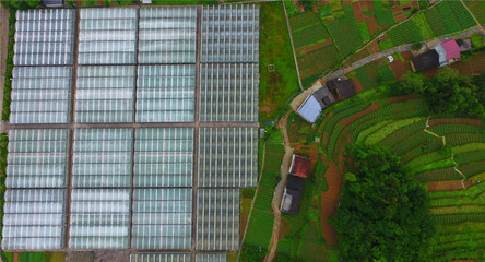 重慶巫溪 技術提升助力馬鈴薯產業發展，推動農業創新開發