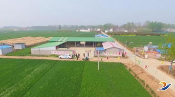 發展新型農業，帶動村民致富——農業開發的新路徑