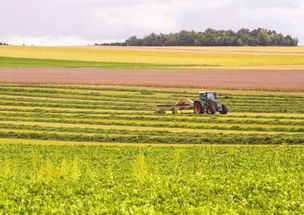 農業部發文推進農業開發，五大領域將獲政策紅利