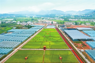 江西贛州 深耕富硒沃土，繪就現(xiàn)代農(nóng)業(yè)新圖景