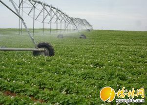 農(nóng)機(jī)補(bǔ)貼精準(zhǔn)落地，我市現(xiàn)代農(nóng)業(yè)發(fā)展注入新動(dòng)能