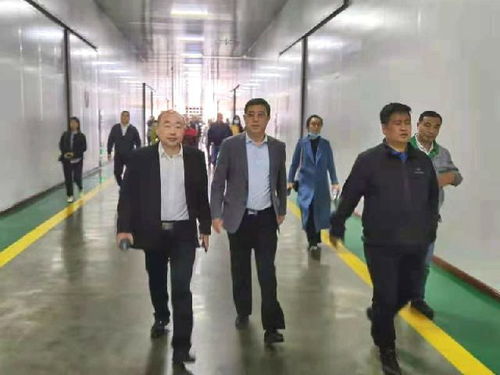 深化南北合作，共拓農(nóng)業(yè)新篇——東莞市河南商會(huì)赴黑龍江商務(wù)考察紀(jì)實(shí)