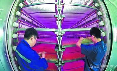 植物工廠 智慧農(nóng)業(yè)